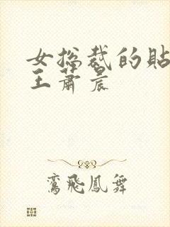 女总裁的贴身兵王萧晨封面