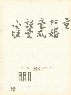 小说豪门重生之暖爱成婚