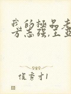 我的极品老婆(方志强,王亚欣)