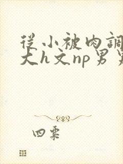 从小被肉调教到大h文np男男
