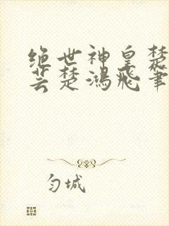 绝世神皇楚风楚芸楚鸿飞笔趣阁