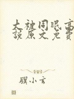 大被同眠高粱小说原文免费阅读