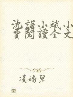 沈诺小斌小说免费阅读全文最新章节