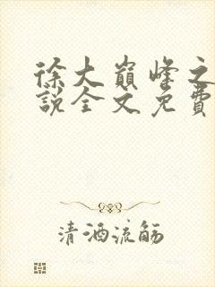 徐大巅峰之路小说全文免费阅读