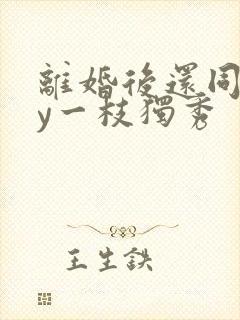 离婚后还同居by一枝独秀封面