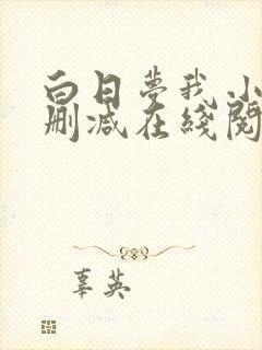 白日梦我小说无删减在线阅读