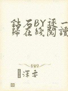 钻石BY逐一而归在线阅读