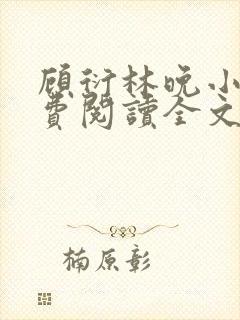 顾衍林晚小说免费阅读全文最新章节更新封面