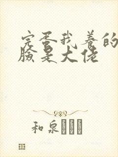 完蛋我养的小白脸是大佬