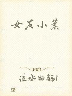 女友小叶