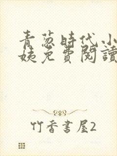 青葱时代小城梅姨免费阅读封面
