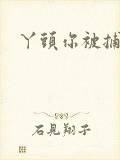 丫头你被捕了封面