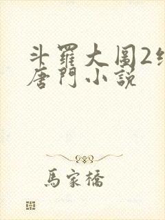 斗罗大图2绝世唐门小说封面