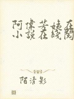 阿伟芳姨在人间小说在线阅读封面