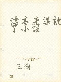 漂亮老婆被玩坏了小说