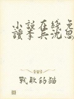 小说在线免费阅读李兵沈思