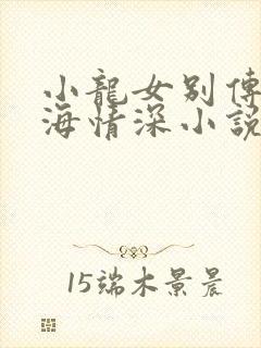 小龙女别传之孽海情深小说