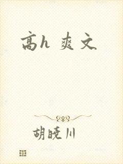 高h 爽文