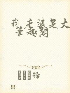 我老婆是大明星 笔趣阁