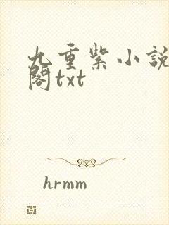 九重紫小说笔趣阁txt