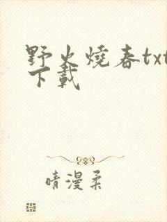 野火烧春txt下载