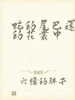 蛇的尾巴还在我的花丛中封面