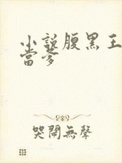 小说腹黑王爷喜当爹封面