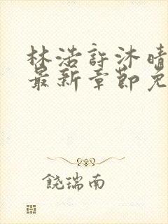 林浩许沐晴小说最新章节免费阅读全文