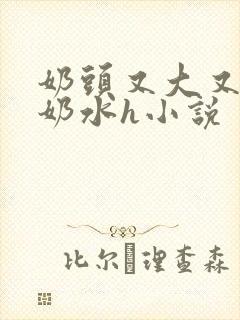 奶头又大又白喷奶水h小说封面