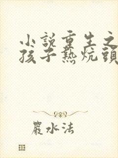 小说重生之老婆孩子热炕头