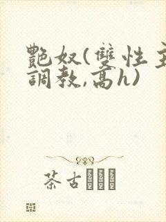 艳奴(双性主奴调教,高h)