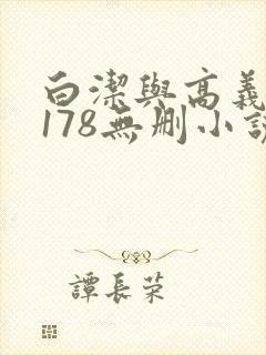 白洁与高义1～178无删小说封面