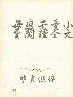 母恋子爱小说免费阅读全文
