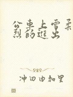 公车上雪柔被猛烈的进出