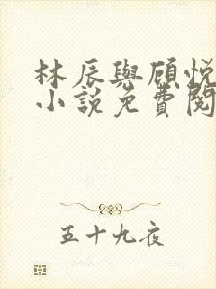 林辰与顾悦兮的小说免费阅读