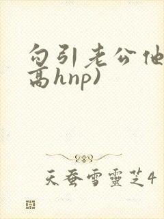 勾引老公他哥(高hnp)