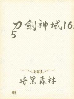 刀剑神域16.5