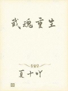 武魂重生封面