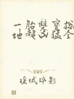 一胎双宝总裁爹地超凶猛全集在线阅读