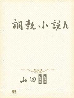 调教小说h封面
