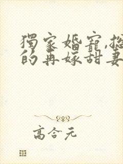 独家婚宠,总裁的再嫁甜妻