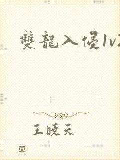 双龙入侵1v2