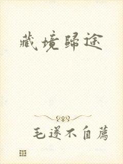 藏境归途