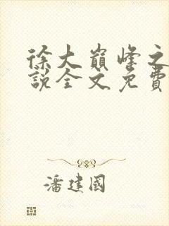 徐大巅峰之路小说全文免费阅读