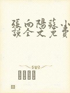 张向阳苏小棠小说全文免费阅读笔趣阁封面