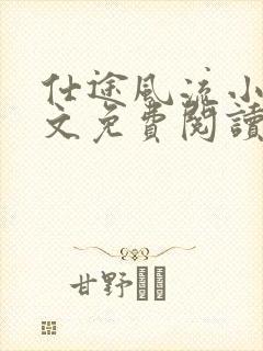 仕途风流小说全文免费阅读封面