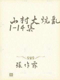 山村大炕乱肉续1-14集封面