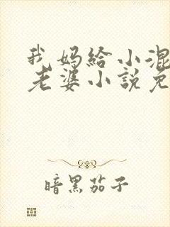 我妈给小混混当老婆小说免费阅读封面