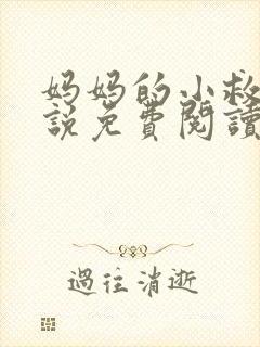 妈妈的小救星小说免费阅读封面