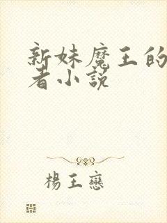 新妹魔王的契约者小说